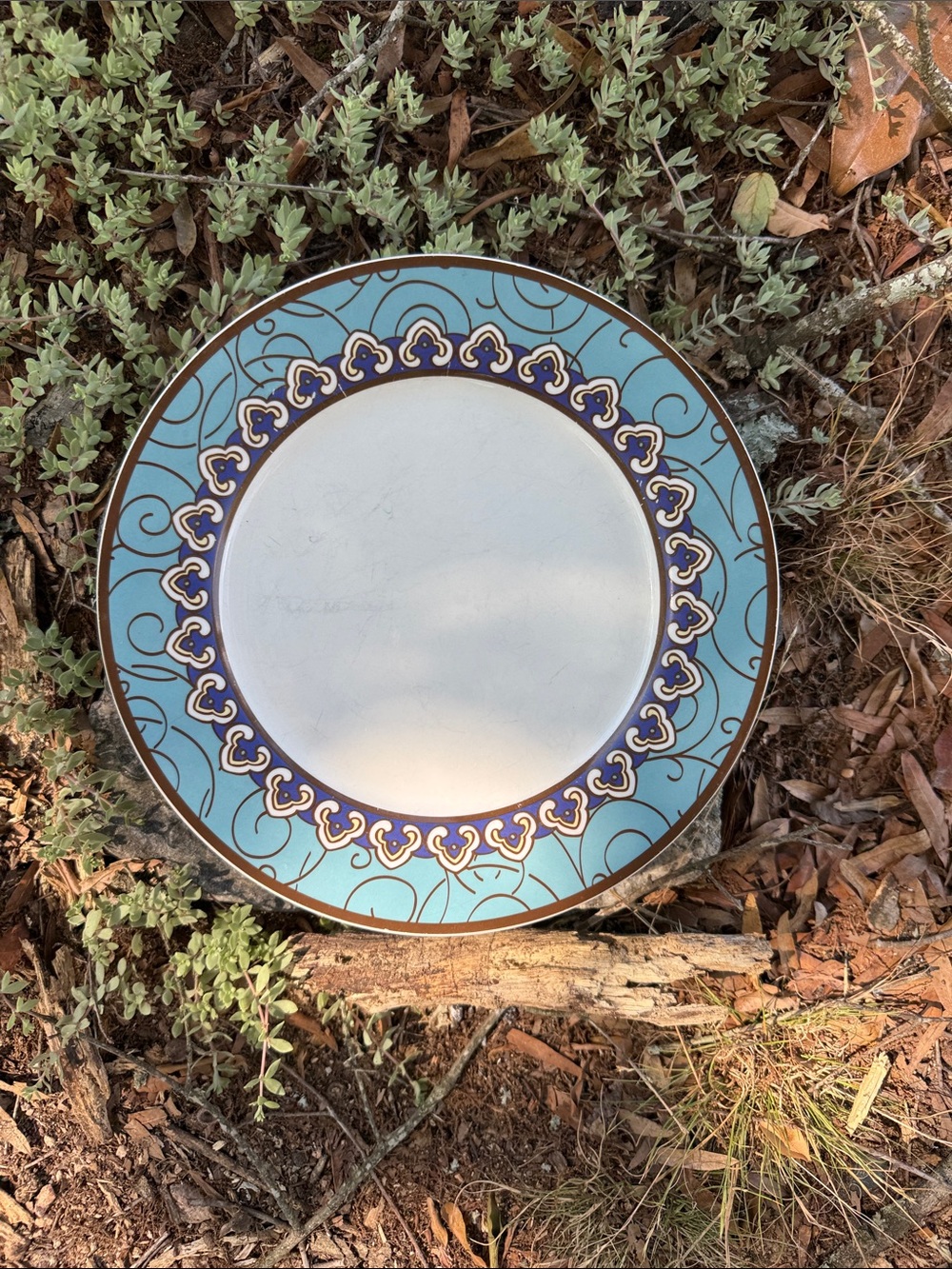 Pfaltzgraff Turquoise and Navy Decorative Wall Plate dinner plates